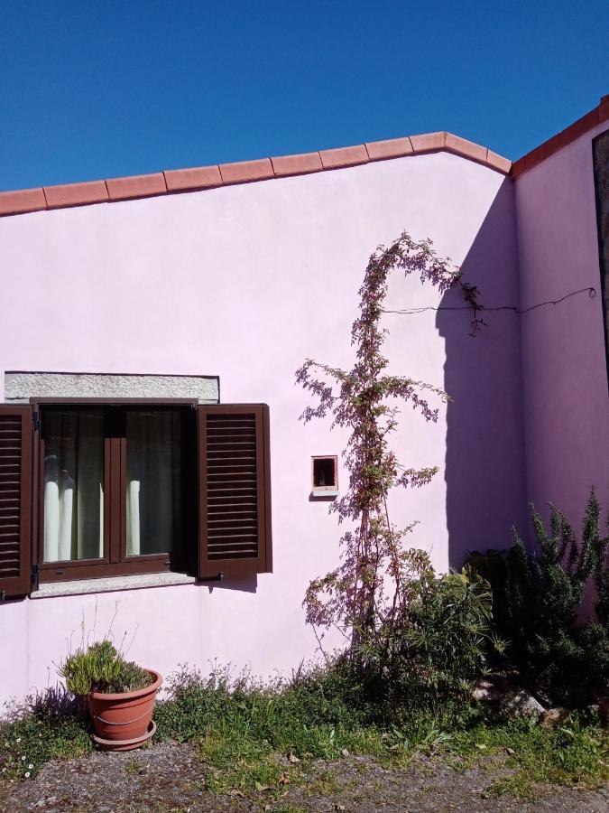 Villa Pêssego - AL à Arouca Extérieur photo